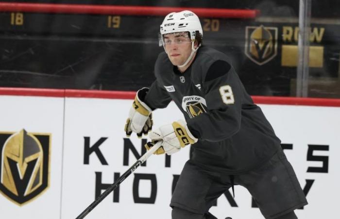 Mathieu Cataford a beaucoup appris de son premier camp avec les Golden Knights