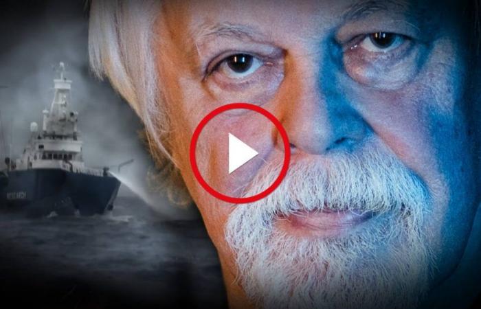 L’histoire vraie de l’arrestation de Paul Watson – Libération