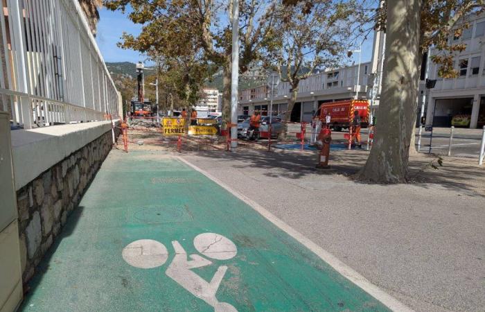 Pistes cyclables à Toulon : de nouveaux aménagements en vue