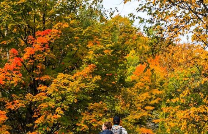 Encore une édition réussie pour la Randonnée des Mille Couleurs