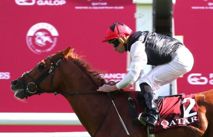 Qatar Prix du Cadran 2024 à ParisLongchamp : Kyprios, une machine