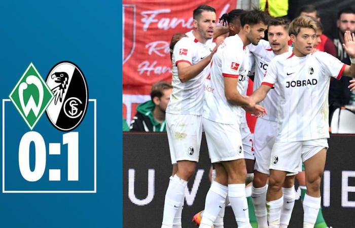 Bundesliga : Bayer Leverkusen – Apparition mystérieuse lors du match nul 2-2 contre Kiel