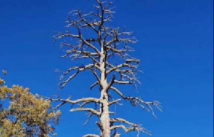 A Ifrane, le site de Ras El Ma va faire peau neuve