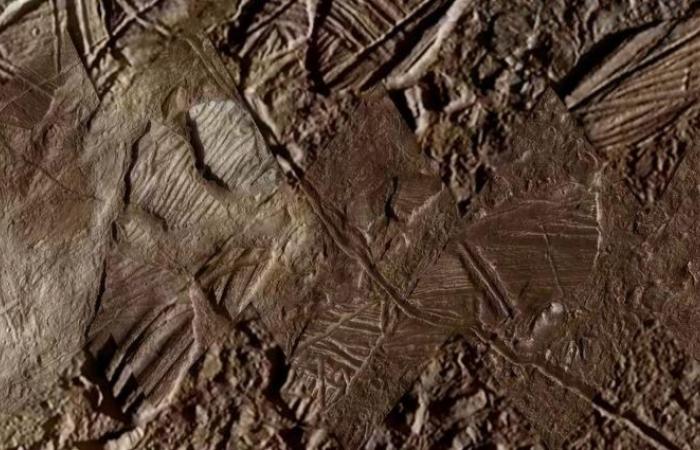 La NASA publie une photo du monde océanique. Cela montre pourquoi la NASA s’y rend.