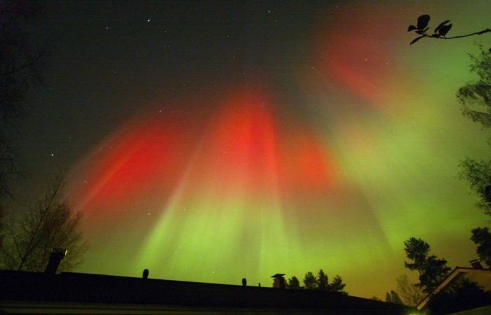 Aurores boréales visibles ce samedi soir dans le ciel belge ? On vous explique tout