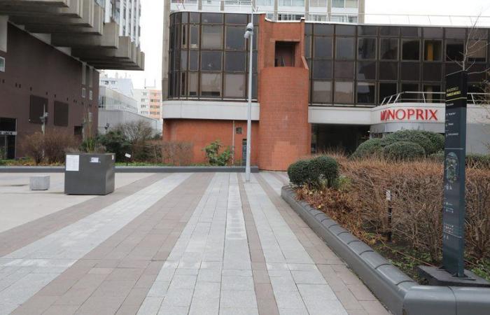 Bâtons, béquilles, katana… une violente rixe entre gangs fait un blessé grave à Paris dans le quartier Beaugrenelle