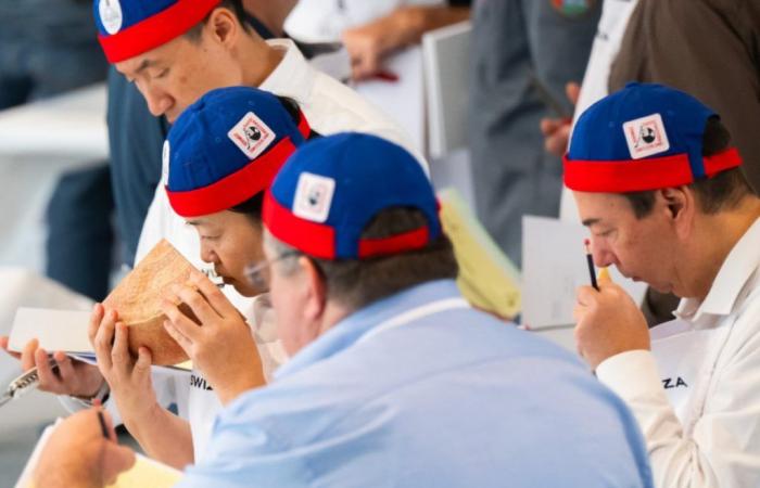 Plus de 1100 fromages suisses en compétition à Lugano