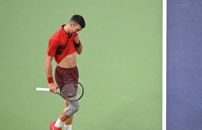 Djokovic se bat mais passe, Alcaraz et Sinner…