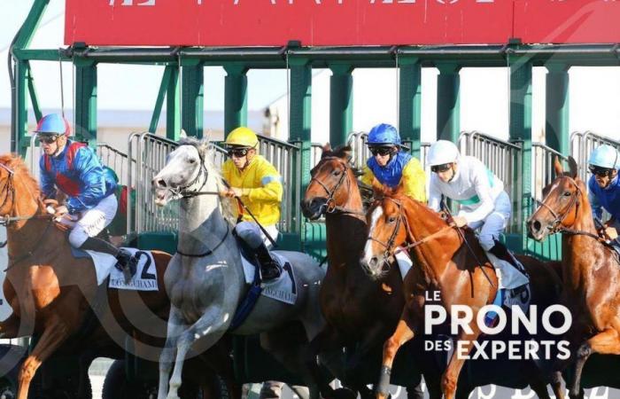 Les pronostics des experts pour la rencontre 1 à ParisLongchamp ce dimanche 6 octobre