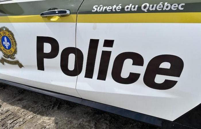 Un homme retrouvé mort dans une fosse à fumier à Sainte-Christine, en Montérégie