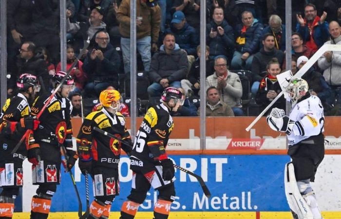 Should Reto Berra be sanctioned by Fribourg-Gottéron?