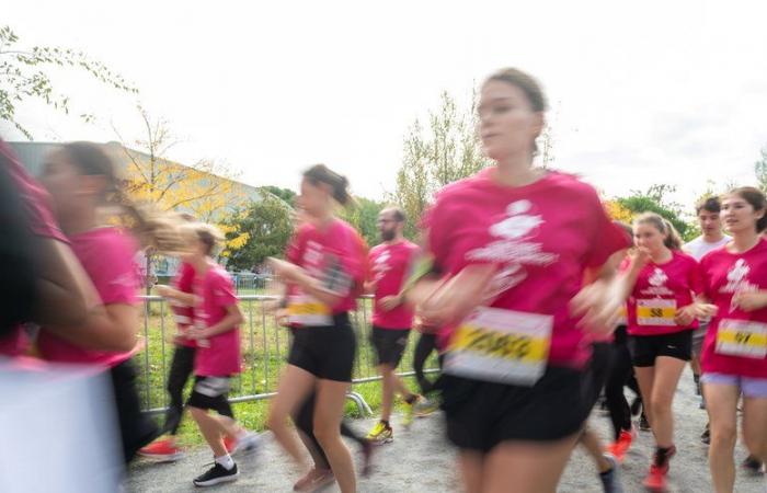 la grande course rassemble 11 000 participants