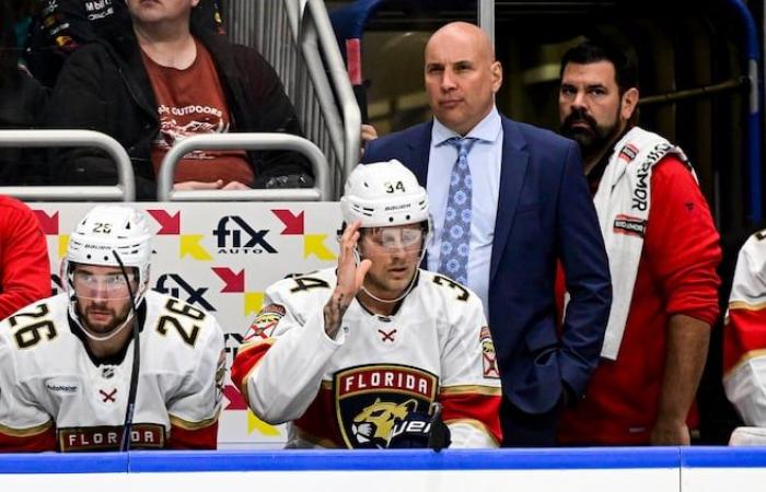 Sylvain Lefebvre, l’ancien Nordiques qui croit toujours au Québec