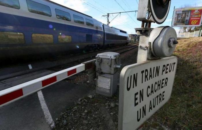 le chauffeur de bus scolaire jugé en appel à partir de lundi