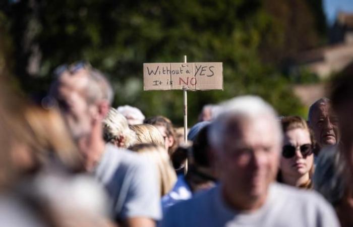 A Mazan, des victimes de violences défilent en soutien à Gisèle Pélicot (photos et vidéos)