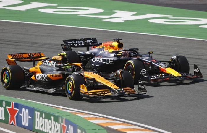 Formule 1 | Hill : Norris a « les qualités » d’un champion du monde