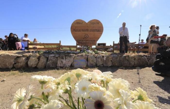 A Mazan, des victimes de violences défilent en soutien à Gisèle Pélicot (photos et vidéos)