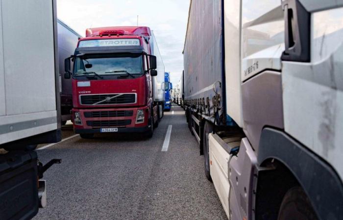 pourquoi ce projet fera tourner les camions au ralenti en Alsace lundi