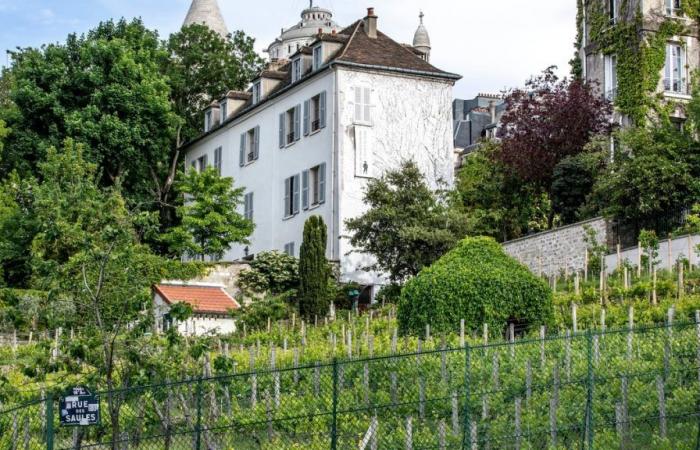 4 raisons de ne pas rater la Fête des Vendanges de Montmartre