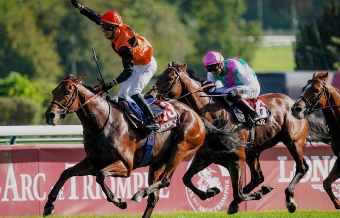 Prediction Prix de l’Arc de Triomphe 2024 • 4 bases Quinté at PMU