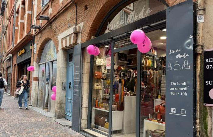 à Toulouse, les quartiers sensibilisent aussi à la lutte contre le cancer du sein