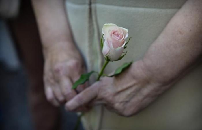 A Mazan, des victimes de violences défilent en soutien à Gisèle Pélicot (photos et vidéos)