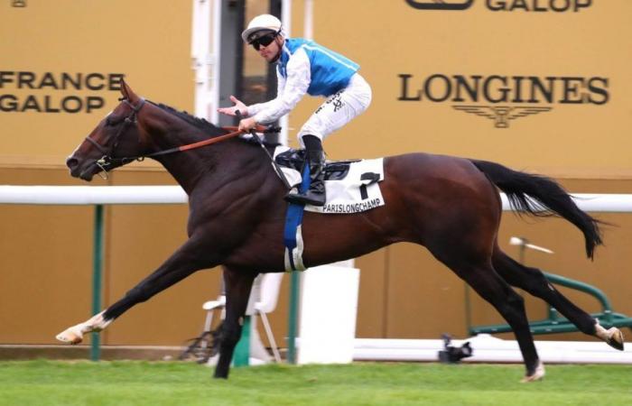 Équitation. Formée à Chantilly, Sosie peut remporter le mythique Prix de l’Arc de Triomphe ce dimanche 6 octobre à Longchamp