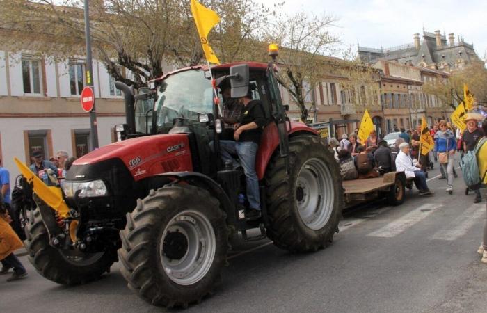 Yves et Jean-Luc sont retournés aux origines de l’agriculture paysanne du Nord et du Pas-de-Calais