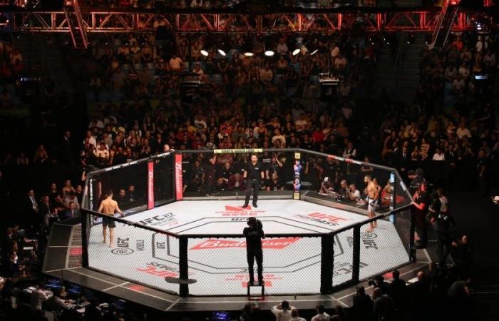 Comment regarder l’UFC 307 en direct – Forbes Advisor INDE