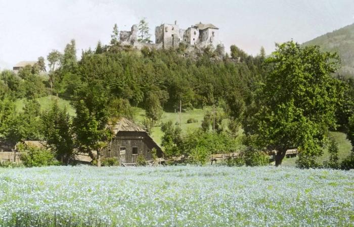 le cadavre de l’histoire dans la terre nourricière