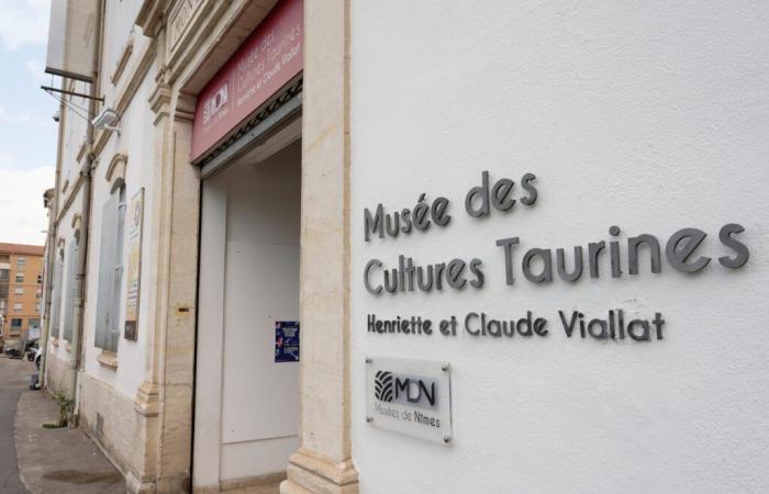 A Nîmes, un musée unique en France, dédié au taureau