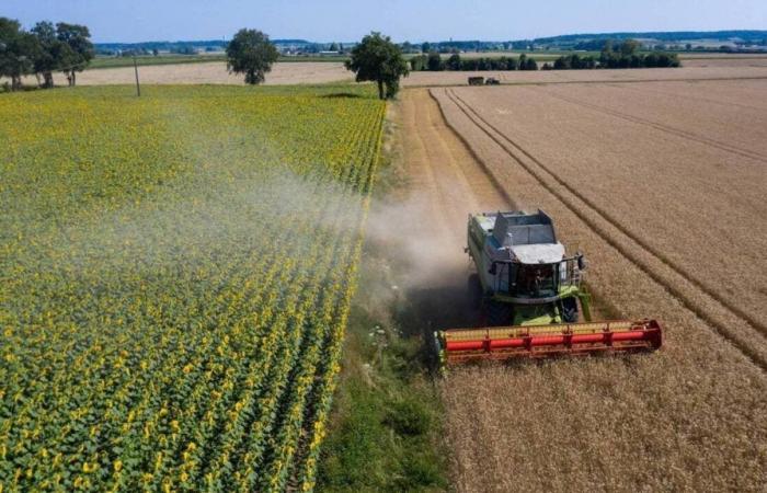 La demande néo-rurale croissante pourrait faire grimper les prix des terres agricoles