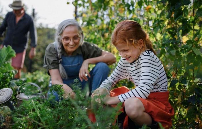 les grands-parents et petits-enfants parlent de leur lien