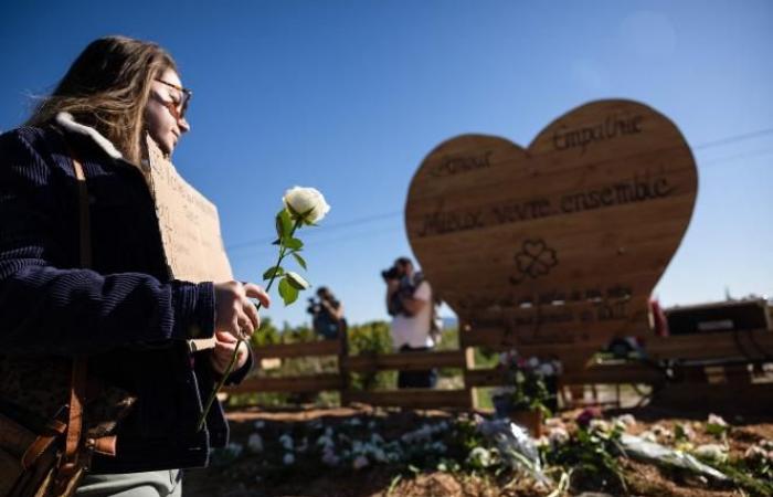 A Mazan, des victimes de violences défilent en soutien à Gisèle Pélicot (photos et vidéos)