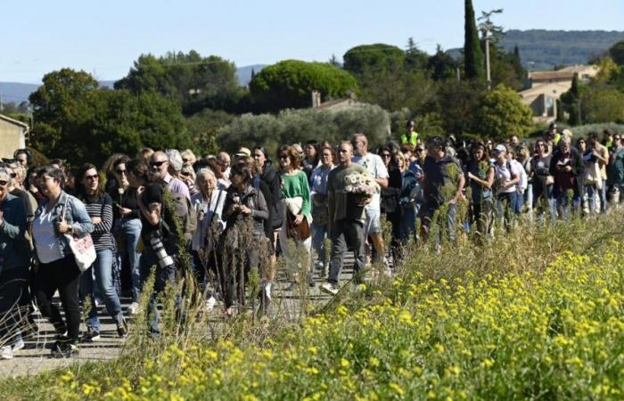 A Mazan, des victimes de violences défilent en soutien à Gisèle Pélicot (photos et vidéos)