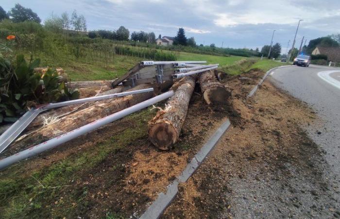 les bûches finissent dans le jardin d’une maison