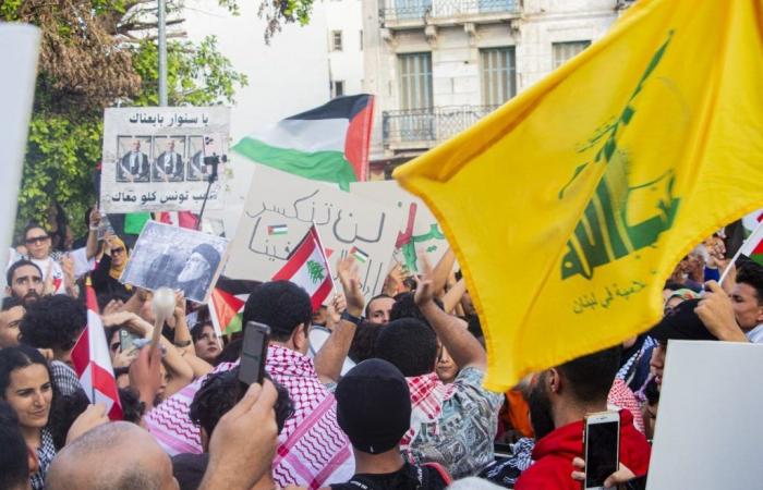 Marche en soutien à la Palestine et au Liban (Photos)