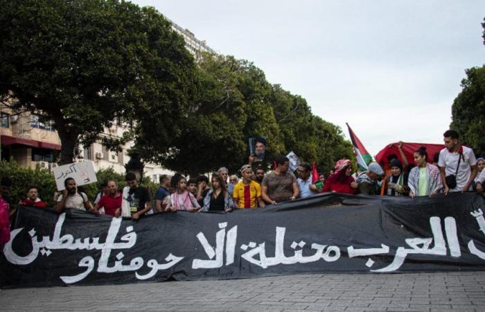 Marche en soutien à la Palestine et au Liban (Photos)