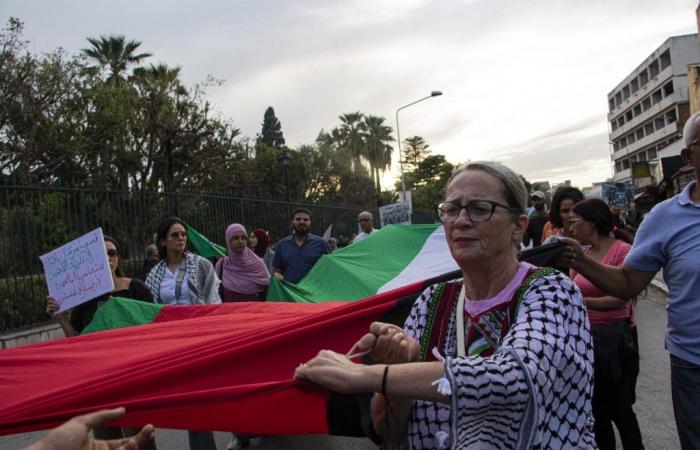 Marche en soutien à la Palestine et au Liban (Photos)