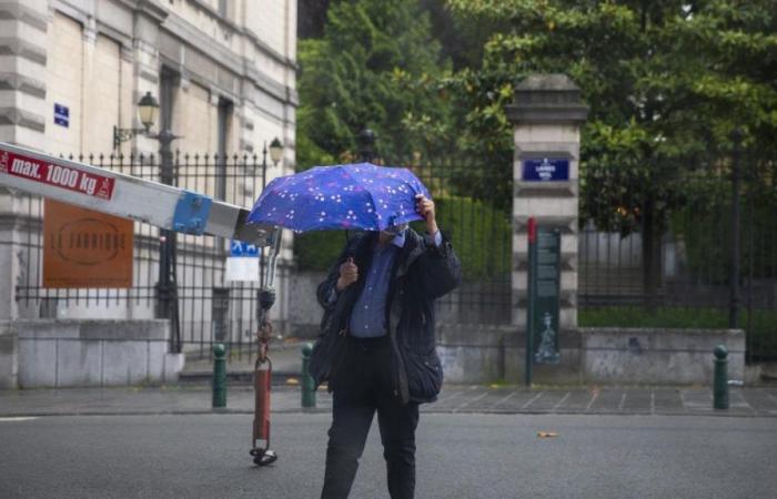 L’ex-cyclone Kirk va frapper la Belgique : à quoi faut-il s’attendre ?