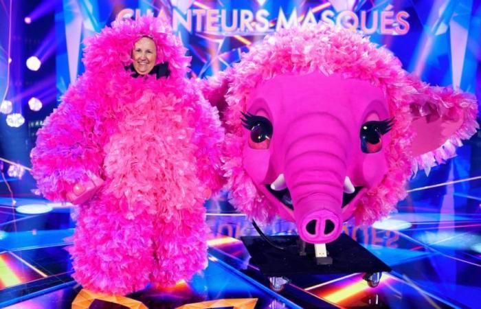 Audiences du dimanche : “Masked Singers” en hausse