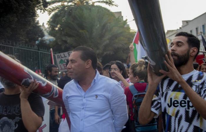 Marche en soutien à la Palestine et au Liban (Photos)