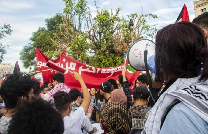 Marche en soutien à la Palestine et au Liban (Photos)