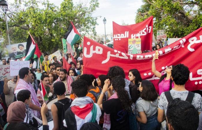 Marche en soutien à la Palestine et au Liban (Photos)