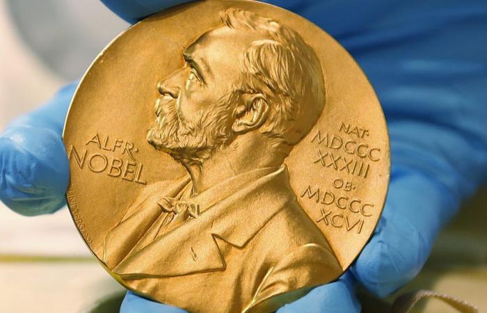 Le prix Nobel de médecine décerné à Victor Ambros et Gary Ruvkun pour la découverte du micro-ARN