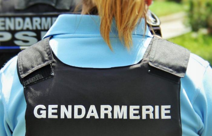 Les gendarmes ne s’attendaient pas à trouver ça lors d’une perquisition dans le Gard