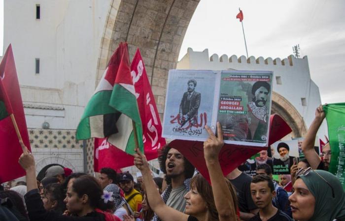 Marche en soutien à la Palestine et au Liban (Photos)