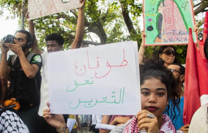 Marche en soutien à la Palestine et au Liban (Photos)