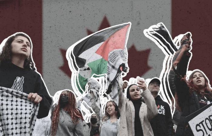 santé mentale de la diaspora palestinienne au Canada – Pivot