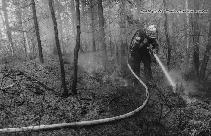 World Press Photo Montréal se termine